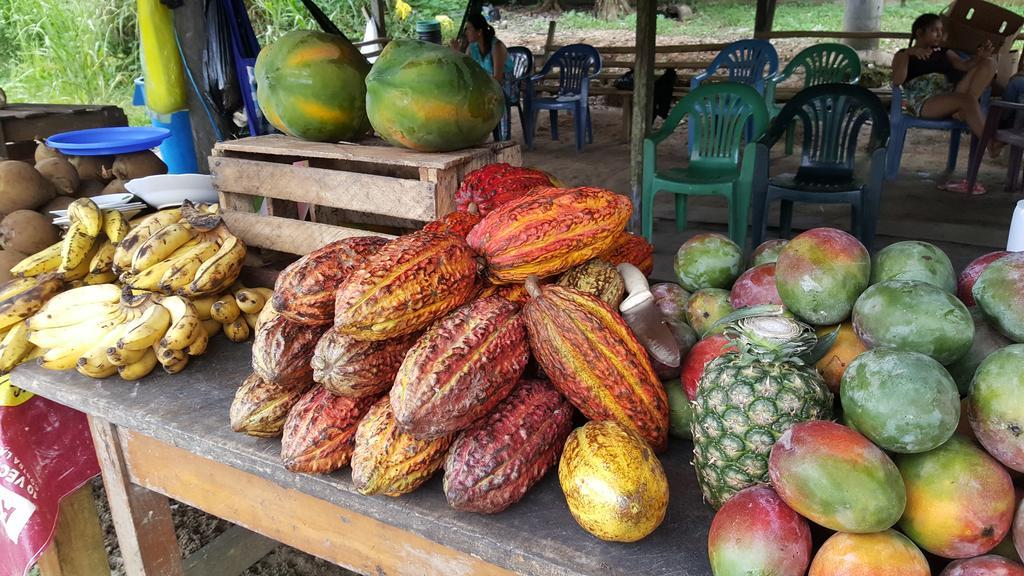 Hostal Maravilla Amazonica Икитос Екстериор снимка
